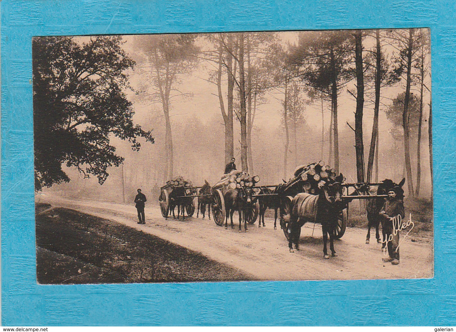 Effet De Brume Dans La Forêt ( Landes ). - Les Bross. - Autres & Non Classés