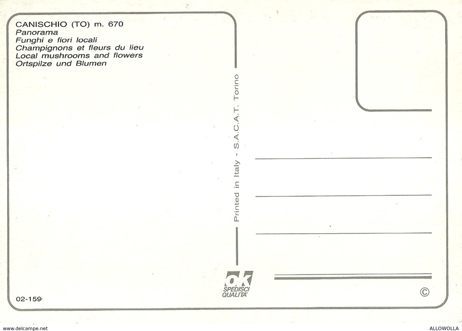 3350 "CANISCHIO (TO) M. 670-PANORAMA-FUNGHI E FIORI LOCALI" CART. POST. ORIG. NON SPED. - Altri & Non Classificati