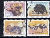 SWA 1985 CTO Stamp(s) Ostrich Birds 566-569 #3244 - Other & Unclassified