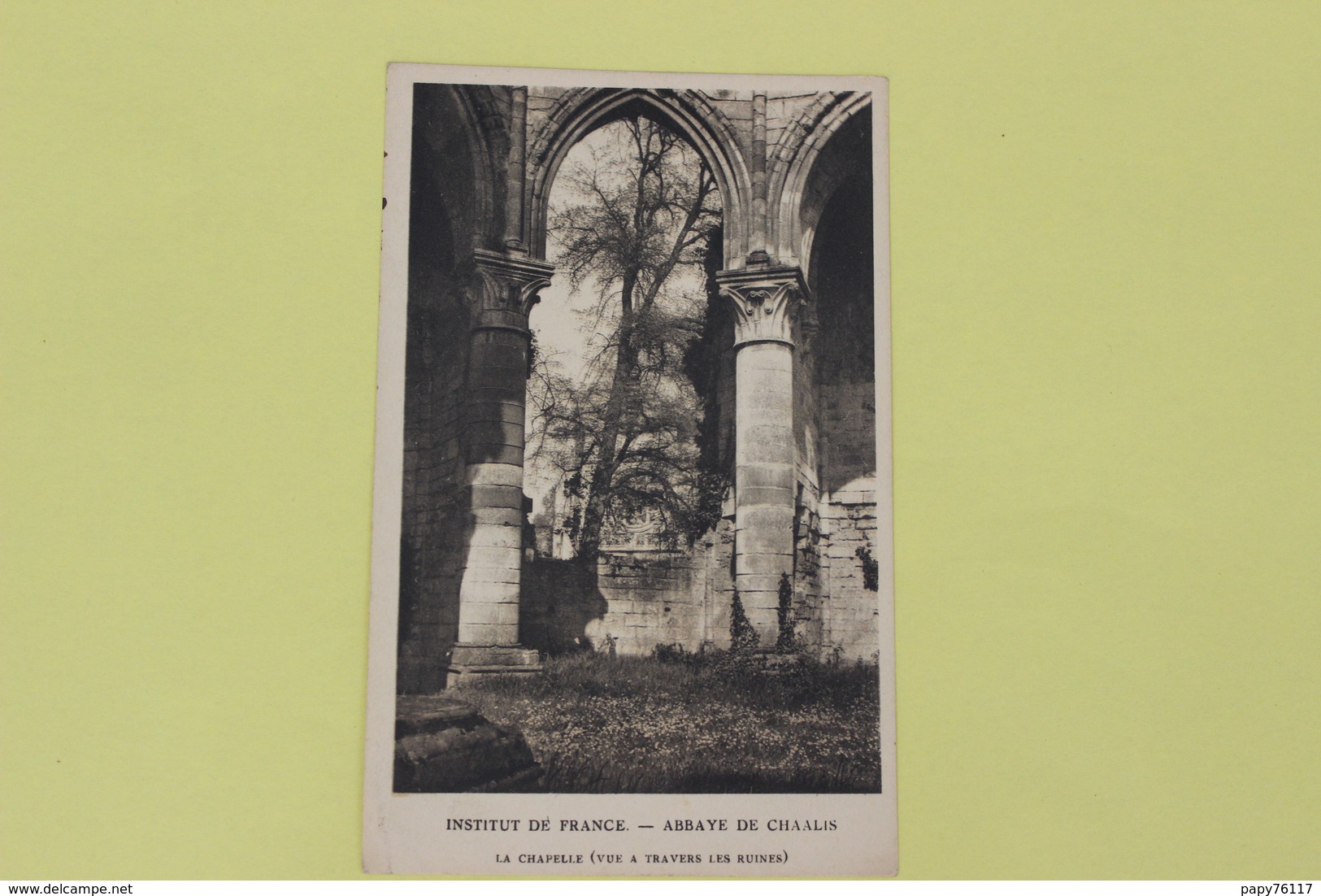CPA   60  INSTITUT DE FRANCE  ABBAYE  DE CHAALIS    LA CHAPELLE  VUE  A TRAVERS  LES RUINES - Autres & Non Classés