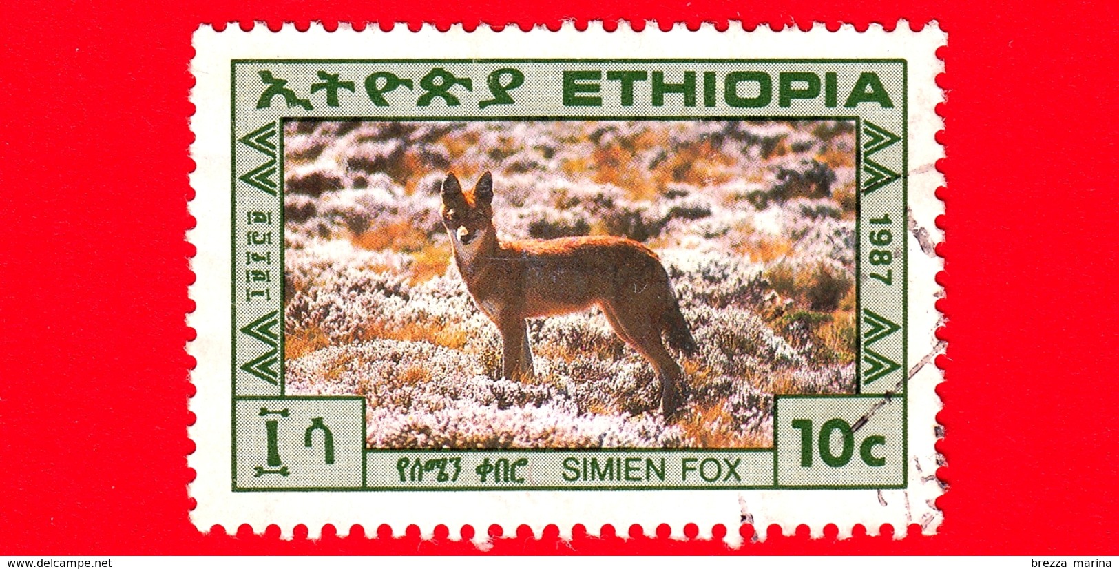 ETIOPIA - Usato - 1987 - Animali - Cani - Volpe Di Simien - Caberù - 10 - Etiopia