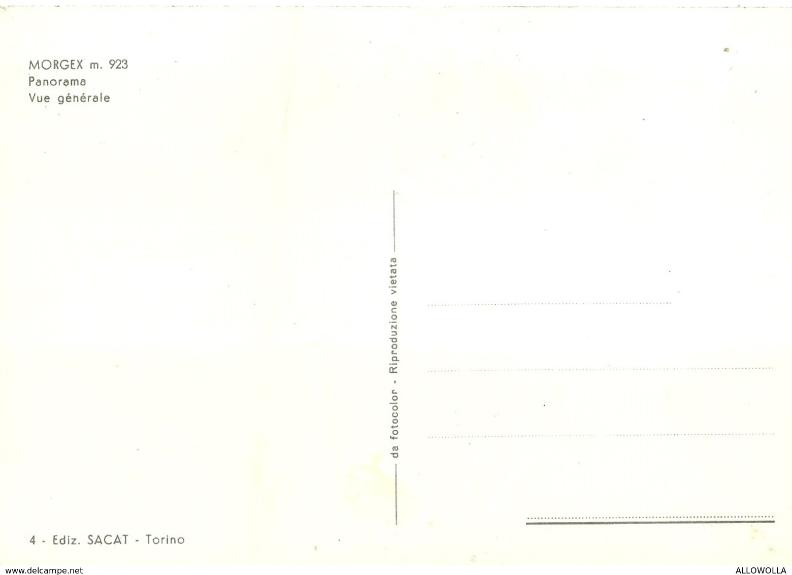 3362  "MORGEX M. 923 - PANORAMA " CART. POST.OR. NON SPED. - Altri & Non Classificati