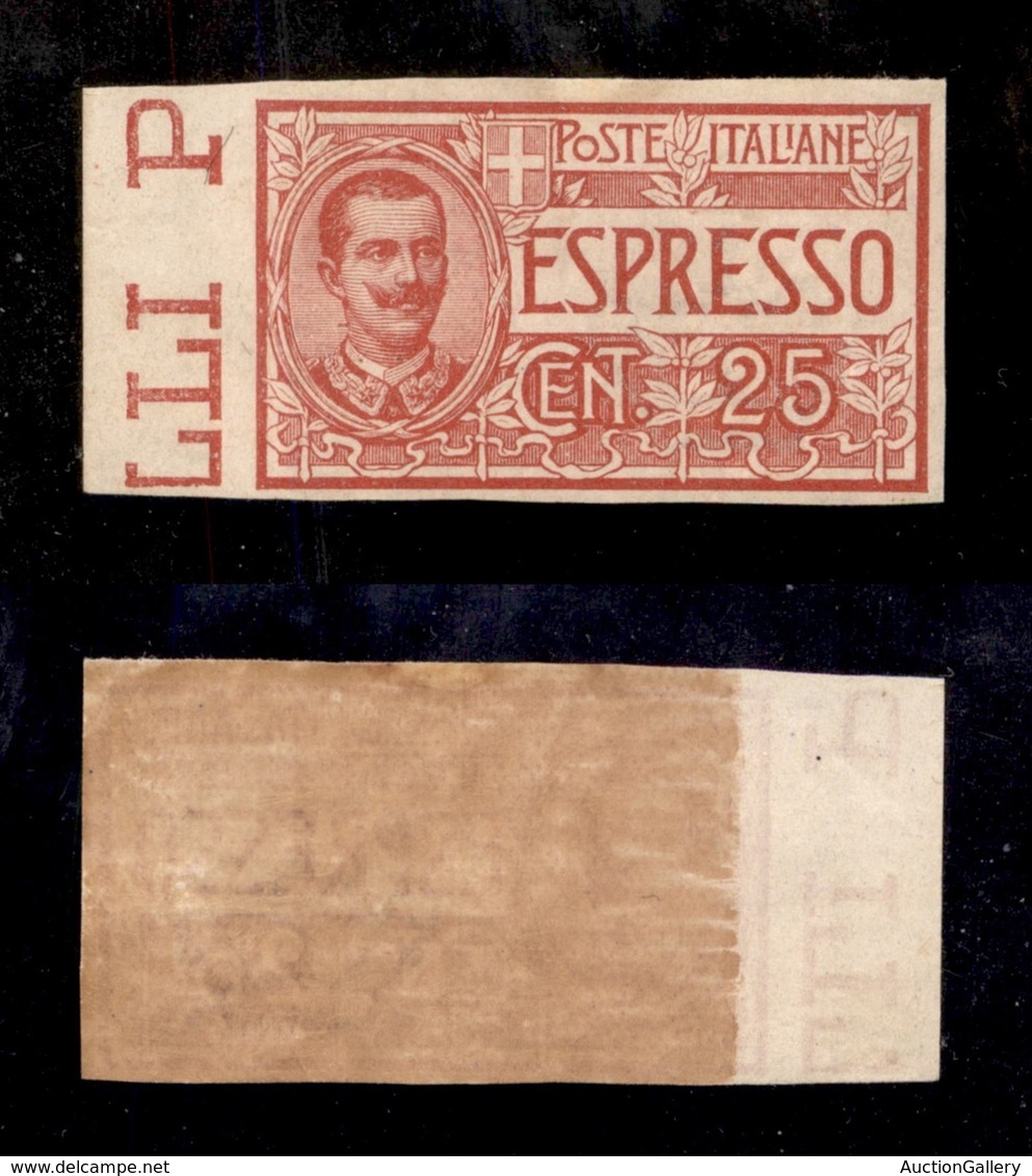 REGNO D'ITALIA - ESPRESSI - 1903 - 25 Cent (1a) Non Dentellato - Gomma Integra (480) - Sonstige & Ohne Zuordnung