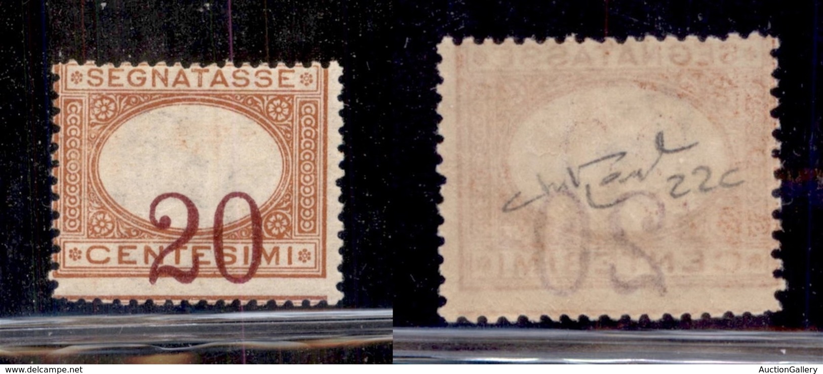 REGNO D'ITALIA - SEGNATASSE - 1894 - 20 Cent (22c) Con Cifre In Basso - Gomma Originale - Raybaudi - Sonstige & Ohne Zuordnung