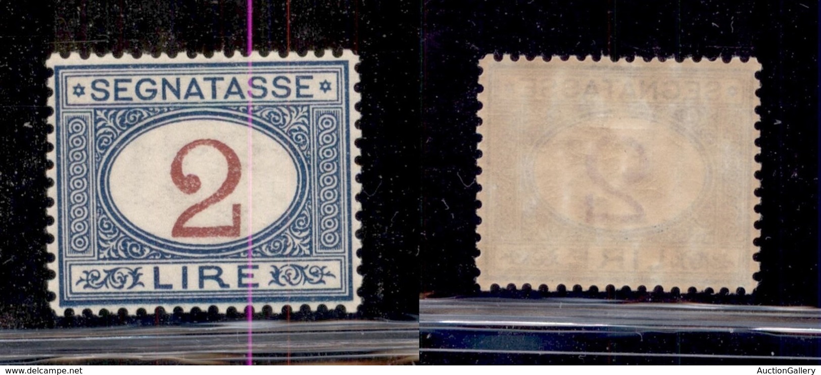 REGNO D'ITALIA - SEGNATASSE - 1903 - 2 Lire (29) - Gomma Originale - Ottimamente Centrato (200) - Sonstige & Ohne Zuordnung