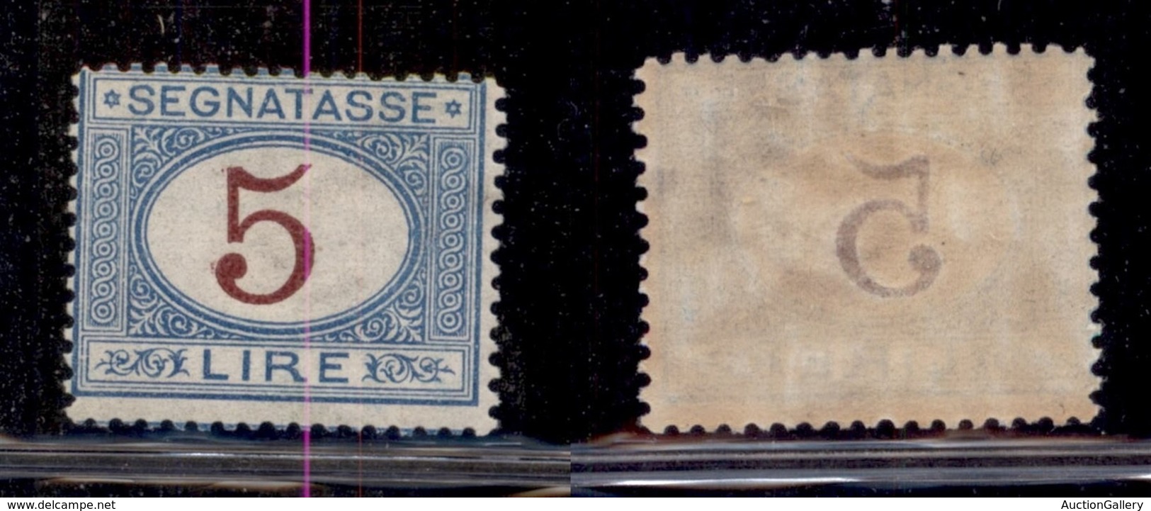 REGNO D'ITALIA - SEGNATASSE - 1903 - 5 Lire (30) - Gomma Originale (400) - Sonstige & Ohne Zuordnung