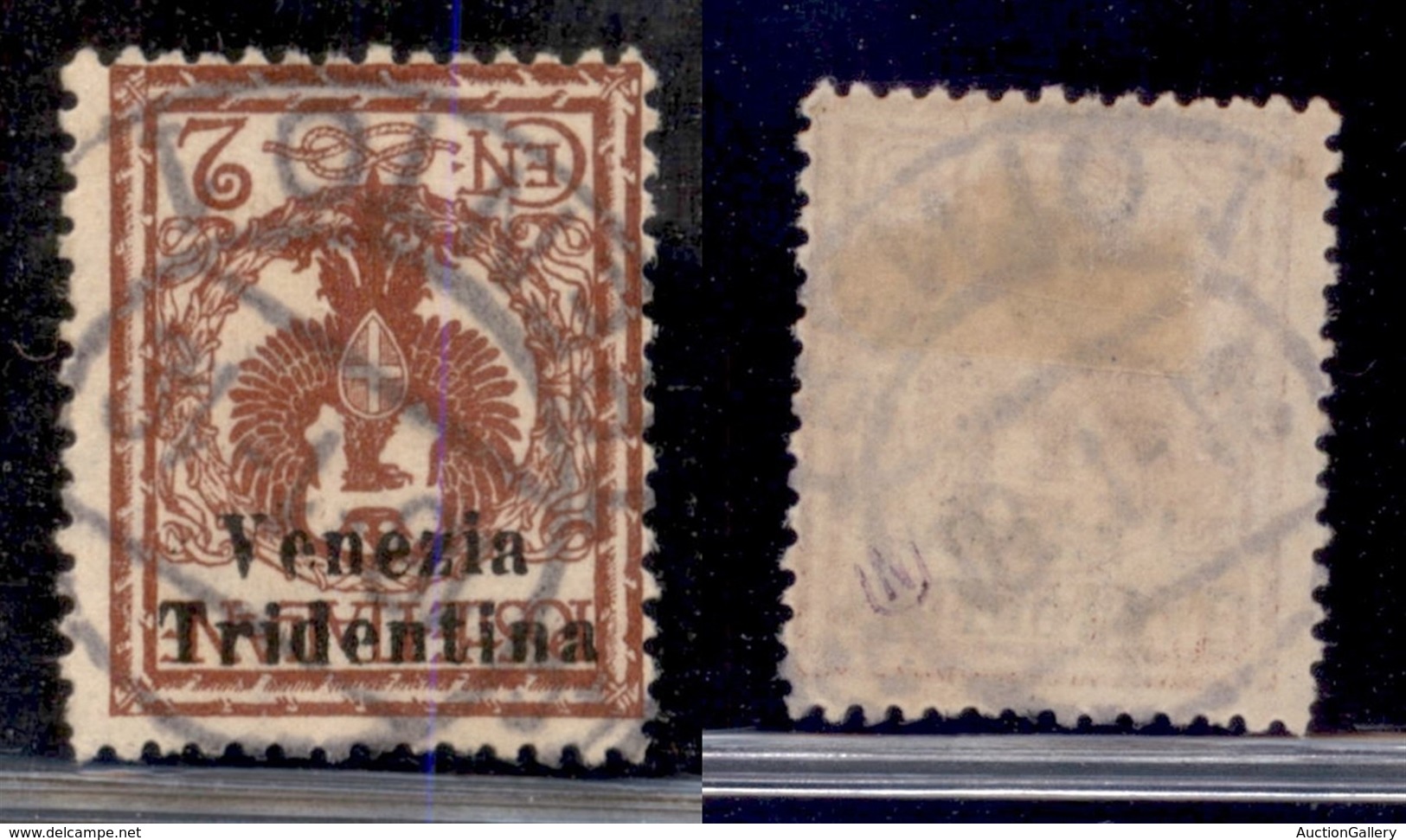 OCCUPAZIONI - TRENTINO - 1918 - 2 Cent /20aa) Usato - Soprastampa Capovolta (300) - Sonstige & Ohne Zuordnung