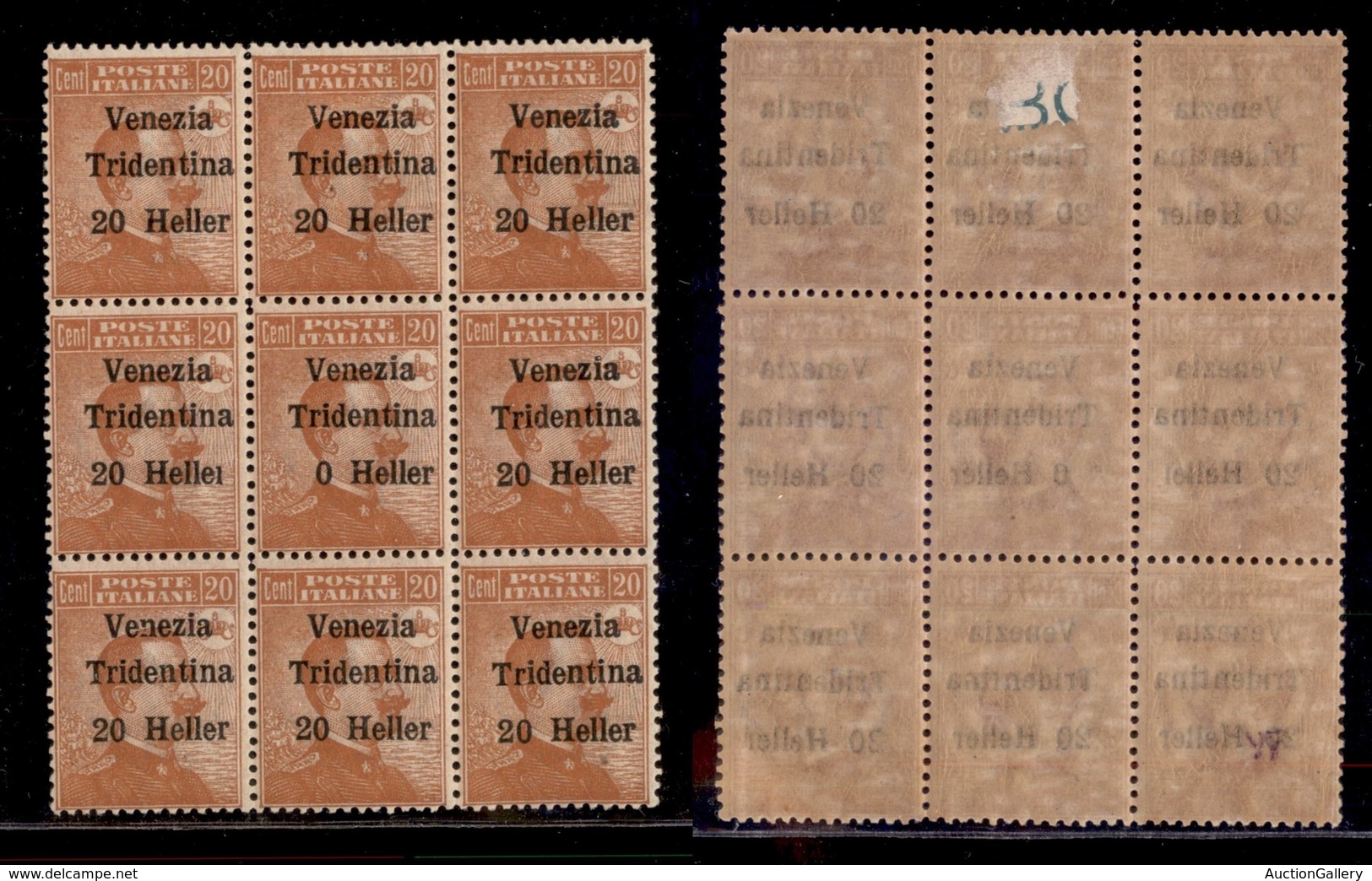 OCCUPAZIONI - TRENTINO - 1918 - 20 Heller Su 20 Cent (30) - Blocco Di 9 Con Errori 30d + 30c Al Centro - Gomma Integra ( - Autres & Non Classés