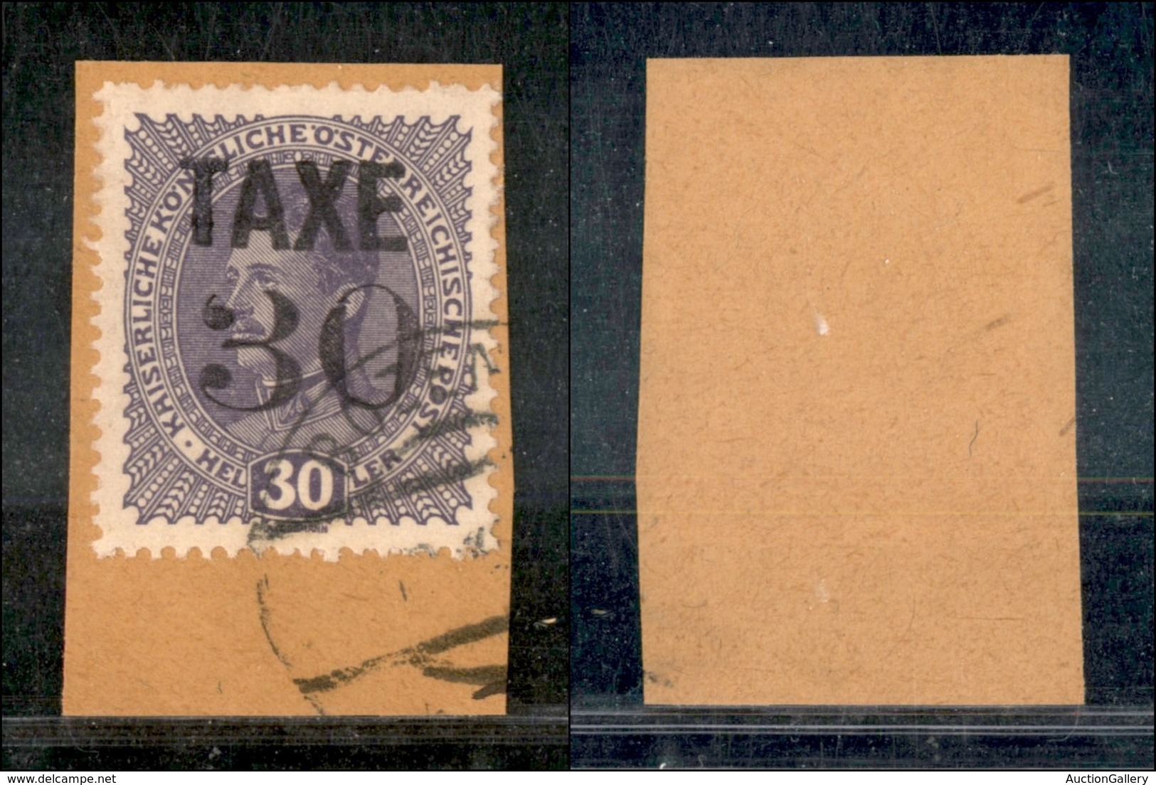 OCCUPAZIONI - BOLZANO 3 - 1918 - Taxe 30 Su 30 Heller (71) Su Frammento (250+) - Autres & Non Classés