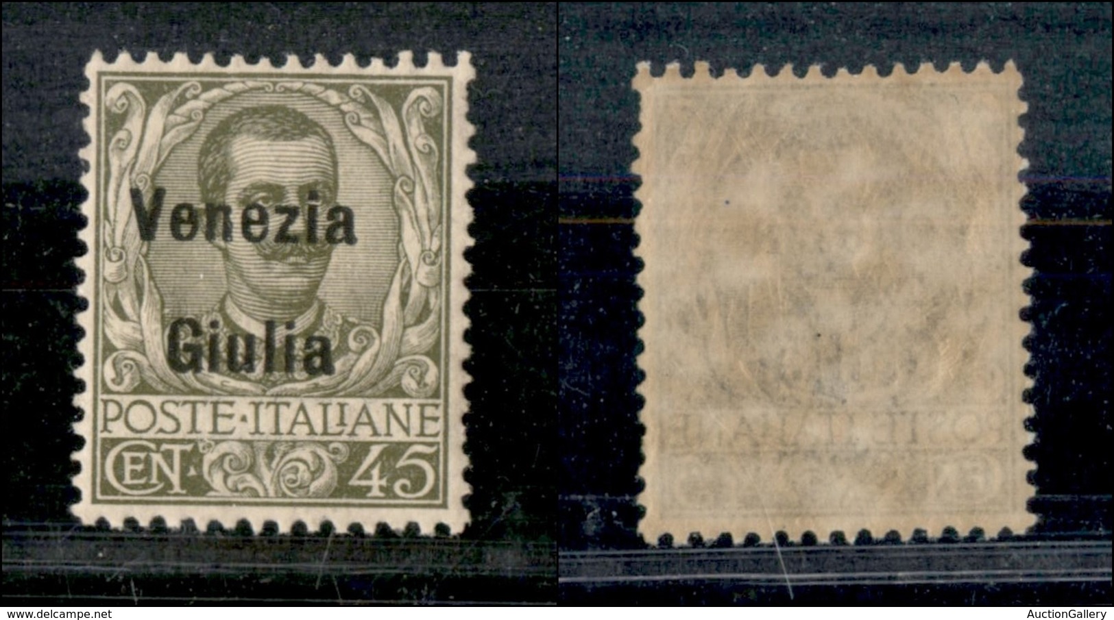 OCCUPAZIONI - VENEZIA GIULIA - 1918 - 45 Cent (26) - Gomma Integra (150) - Autres & Non Classés