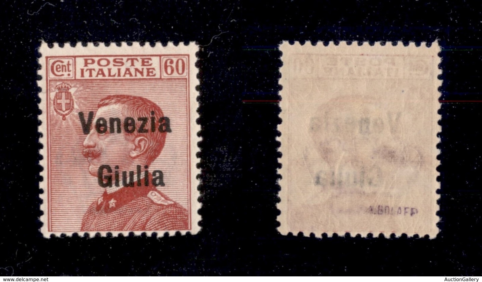 OCCUPAZIONI - VENEZIA GIULIA - 1918 - 60 Cent (28) - Gomma Integra (750) - Autres & Non Classés