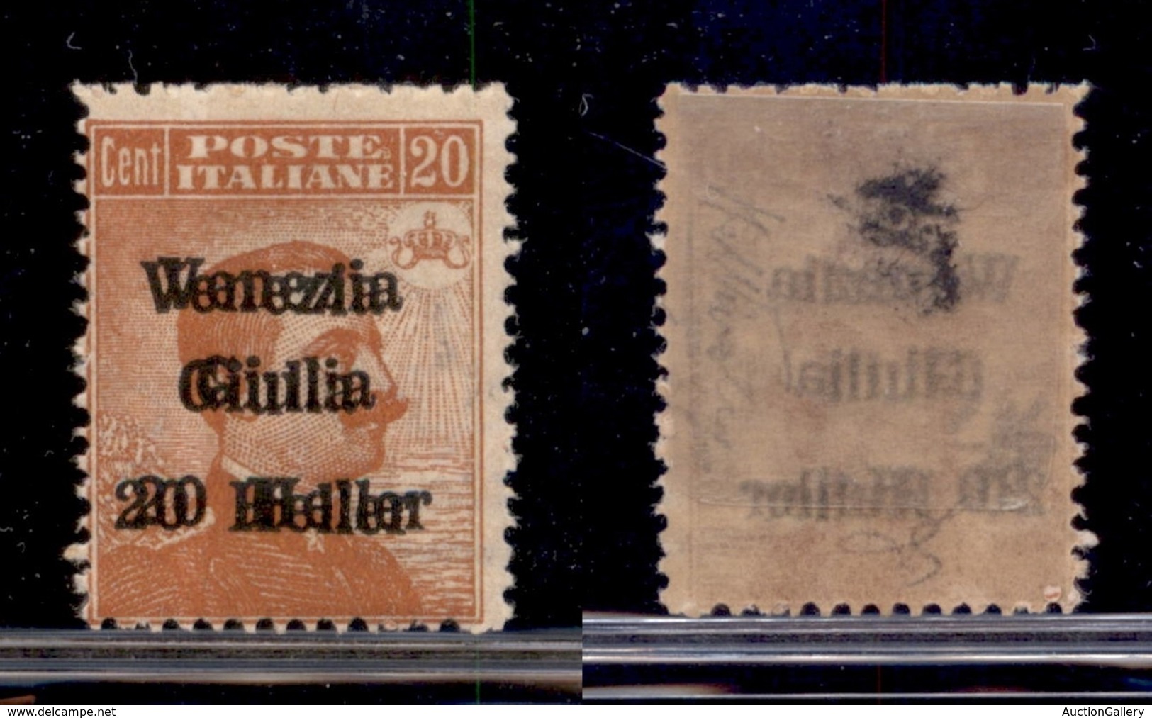 OCCUPAZIONI - VENEZIA GIULIA - 1919 - 20 Heller Su 20 Cent (31b) Con Doppia Soprastampa - Gomma Originale (260) - Sonstige & Ohne Zuordnung