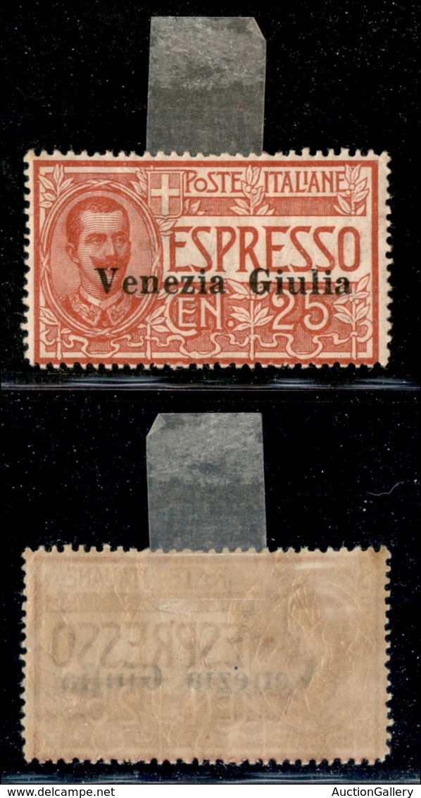 OCCUPAZIONI - VENEZIA GIULIA - 1919 - 25 Cent (1) - Gomma Originale (250) - Sonstige & Ohne Zuordnung