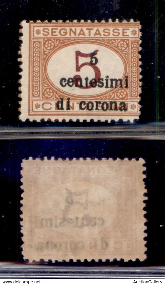 OCCUPAZIONI - TRENTO E TRIESTE - 1919 - 5 Cent (1) Con Soprastampa In Basso A Destra - Gomma Originale - Sonstige & Ohne Zuordnung