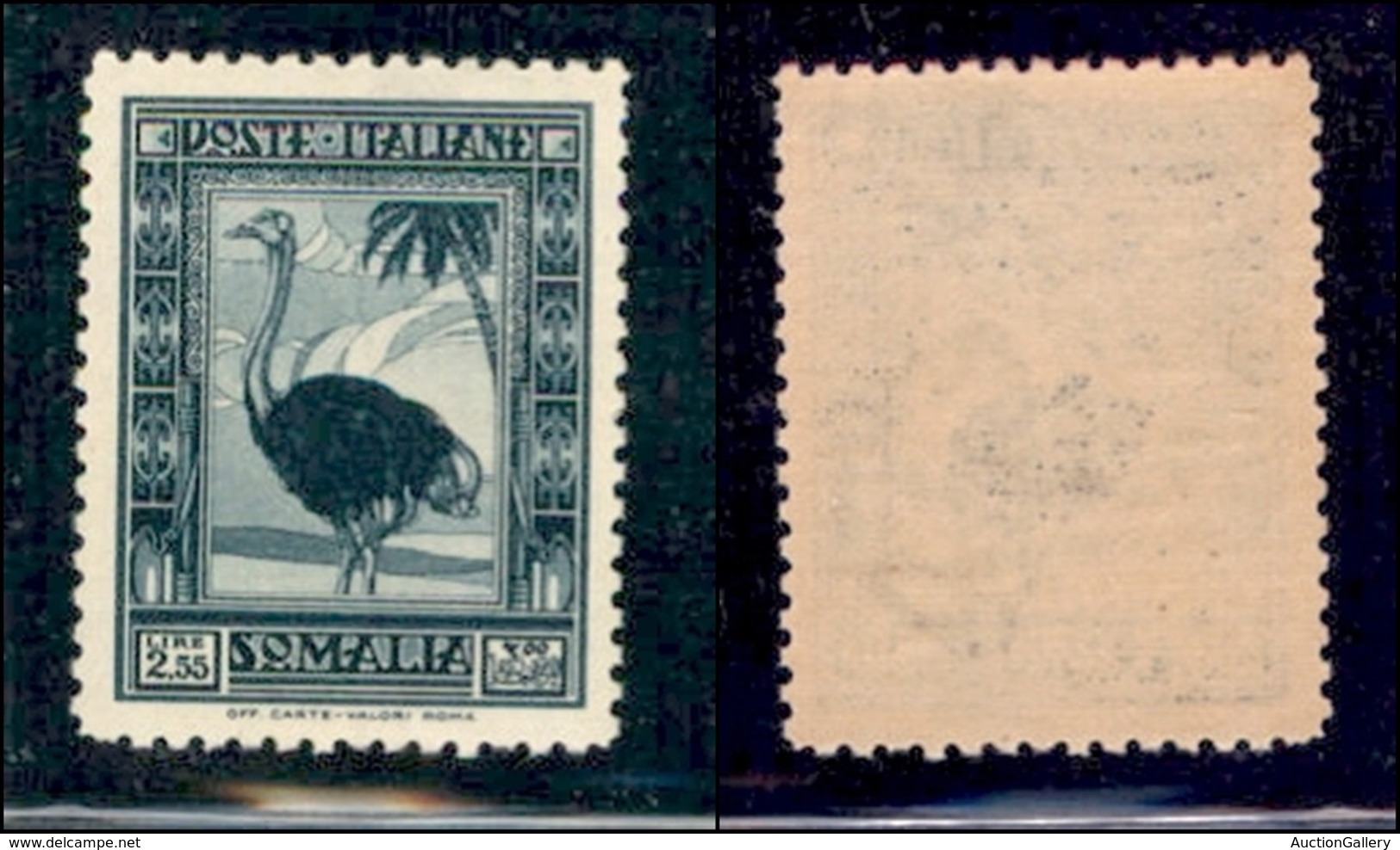 COLONIE - SOMALIA - 1932 - 2,55 Lire Pittorica (180) - Gomma Integra - Ottimamente Centrato (700) - Sonstige & Ohne Zuordnung