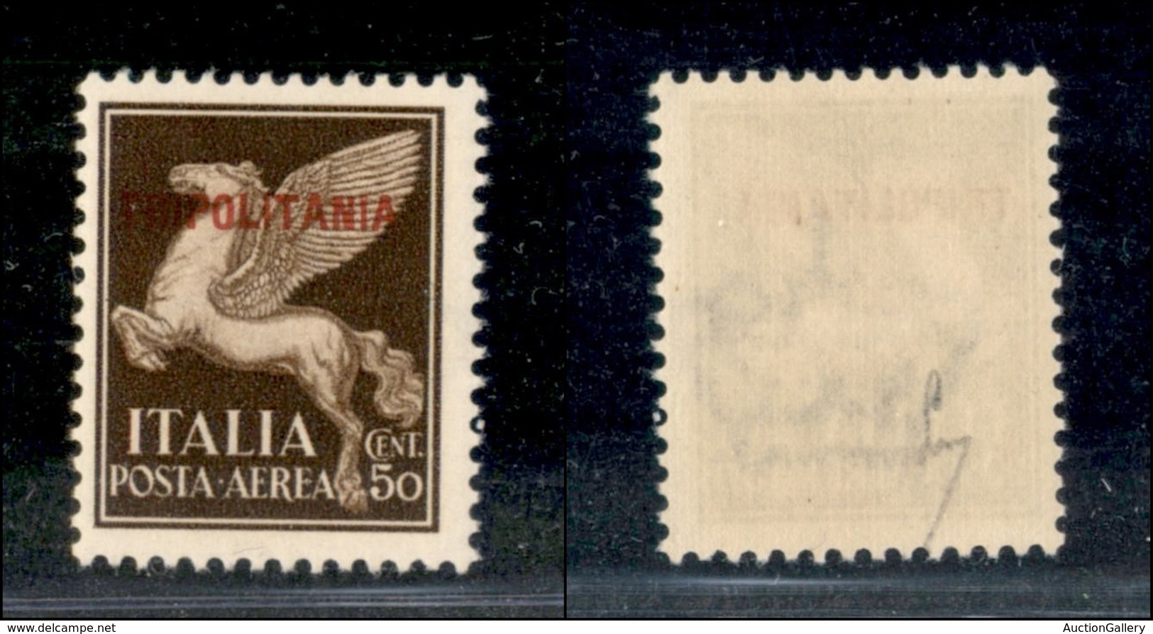 COLONIE - TRIPOLITANIA - 1930 - 50 Cent (8) - Gomma Integra (300) - Autres & Non Classés