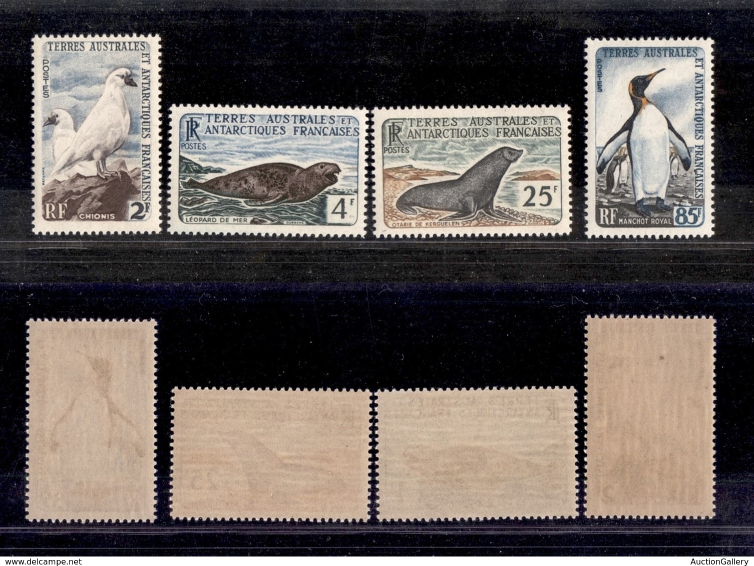OLTREMARE - ANTARTICO FRANCESE - 1960 - Animali Antartici (Mich. 19/22) - Serie Completa Di 4 Valori - Gomma Integra (17 - Sonstige & Ohne Zuordnung