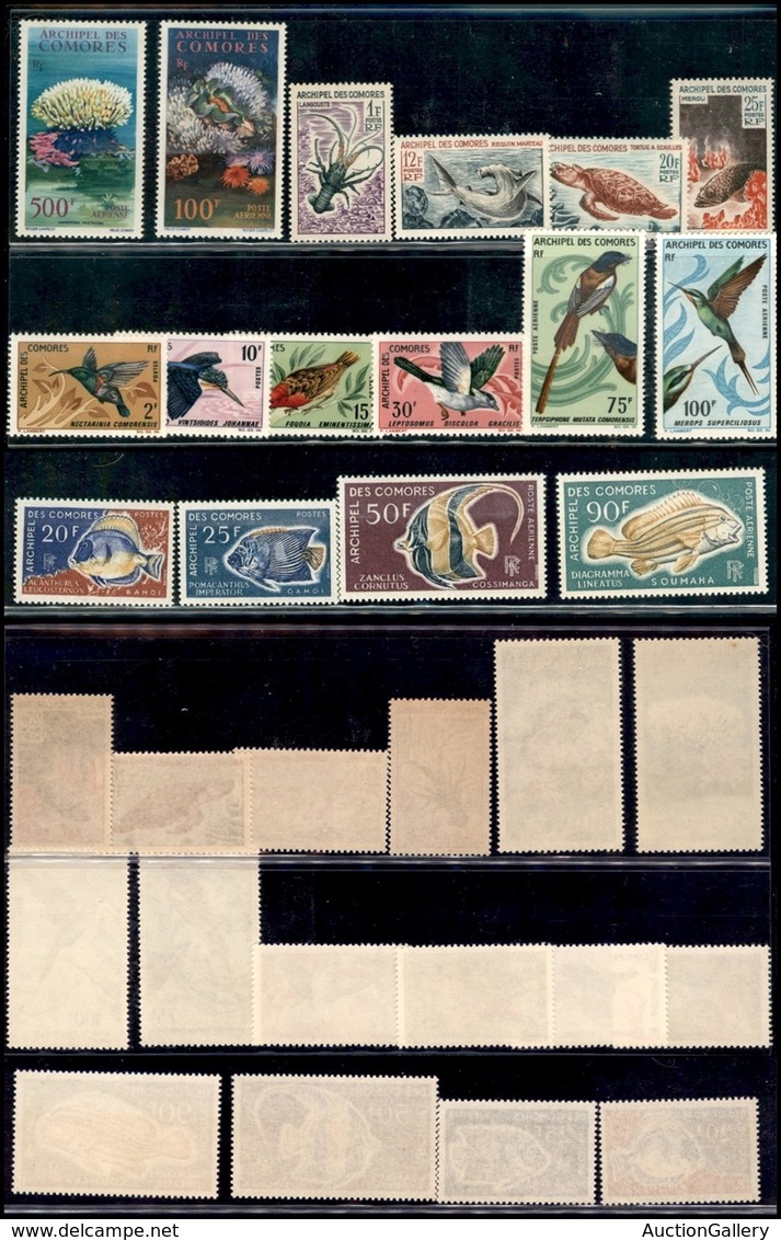OLTREMARE - COMORES - 1962/1968 - Fauna - Valori E 3 Serie Complete Del Periodo - Gomma Integra (140+) - Sonstige & Ohne Zuordnung