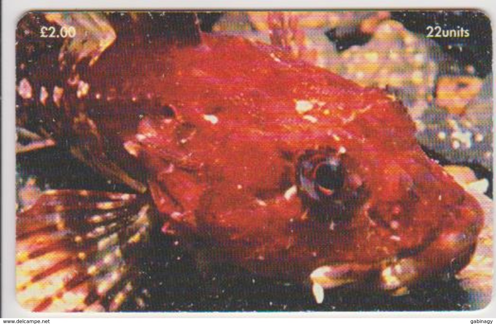 ISLE OF MAN - 0149 - FISH - Scorpion Fish - Isle Of Man