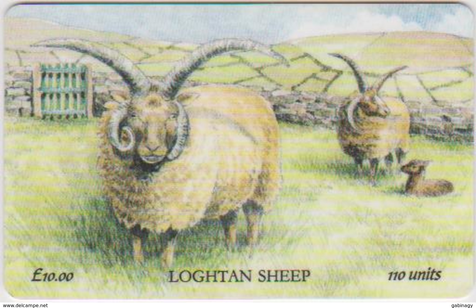 #08 - ISLE OF MAN-29 - LOGHTAN SHEEP - Isola Di Man