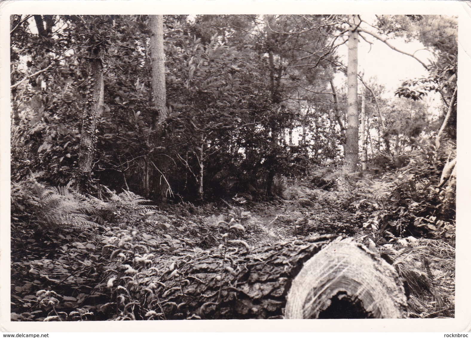 LOT de 30 anciennes photos de DOUARNENEZ et alentours, années 60/70, à identifier (30 SCANS)