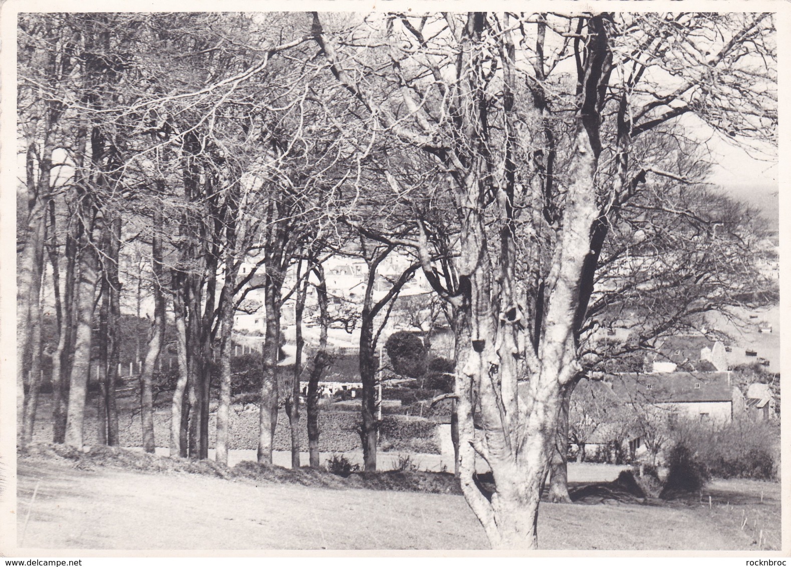 LOT de 30 anciennes photos de DOUARNENEZ et alentours, années 60/70, à identifier (30 SCANS)