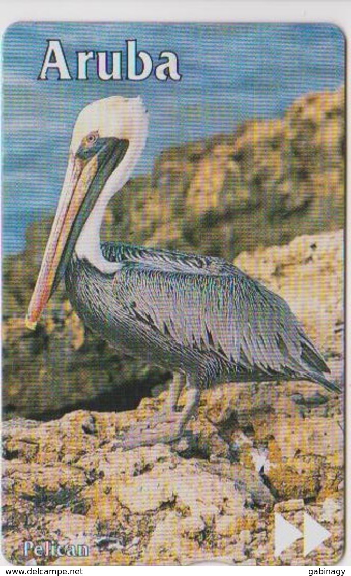 #08 - ARUBA-05 - PELICAN - Aruba