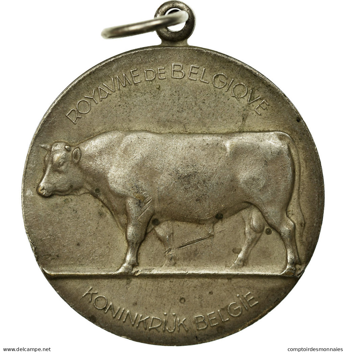 Belgique, Médaille, Ministère De L'Agriculture, 1958, De Meest, SUP, Silvered - Other & Unclassified