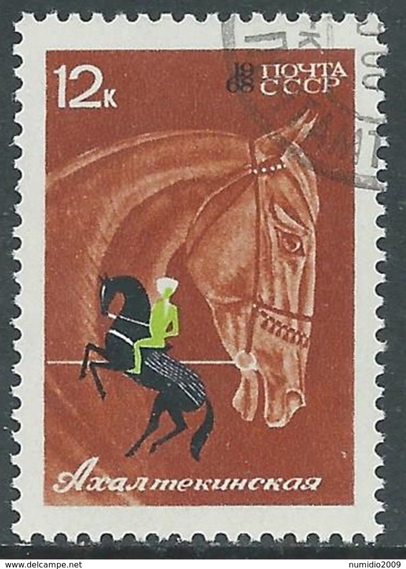 1968 RUSSIA USATO CAVALLI NELLO SPORT ALTA SCUOLA 12 K - V22-8 - Usati