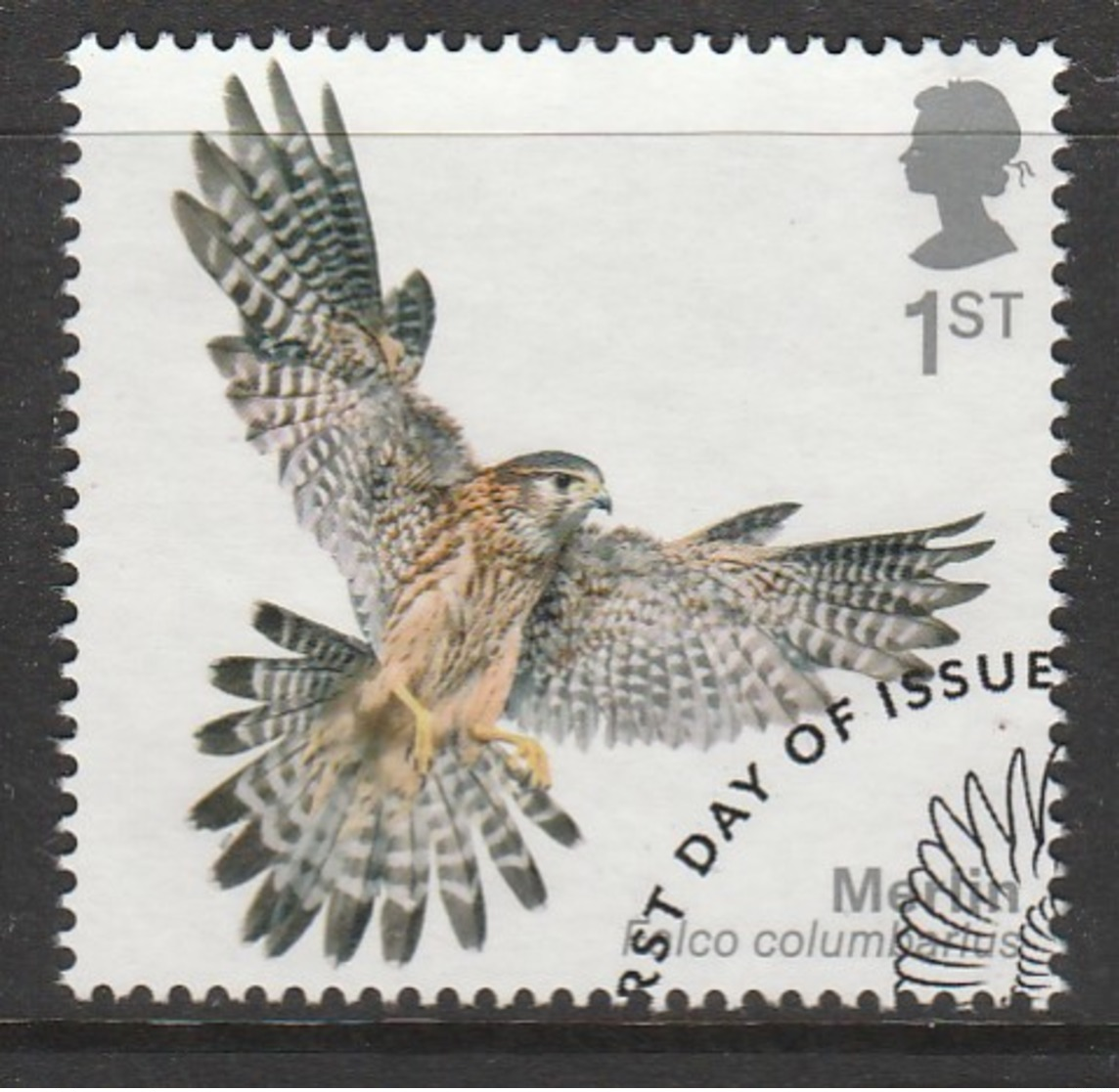 GB 2019 Birds Of Prey 1st Multicoloured SW 4045 O Used - Used Stamps