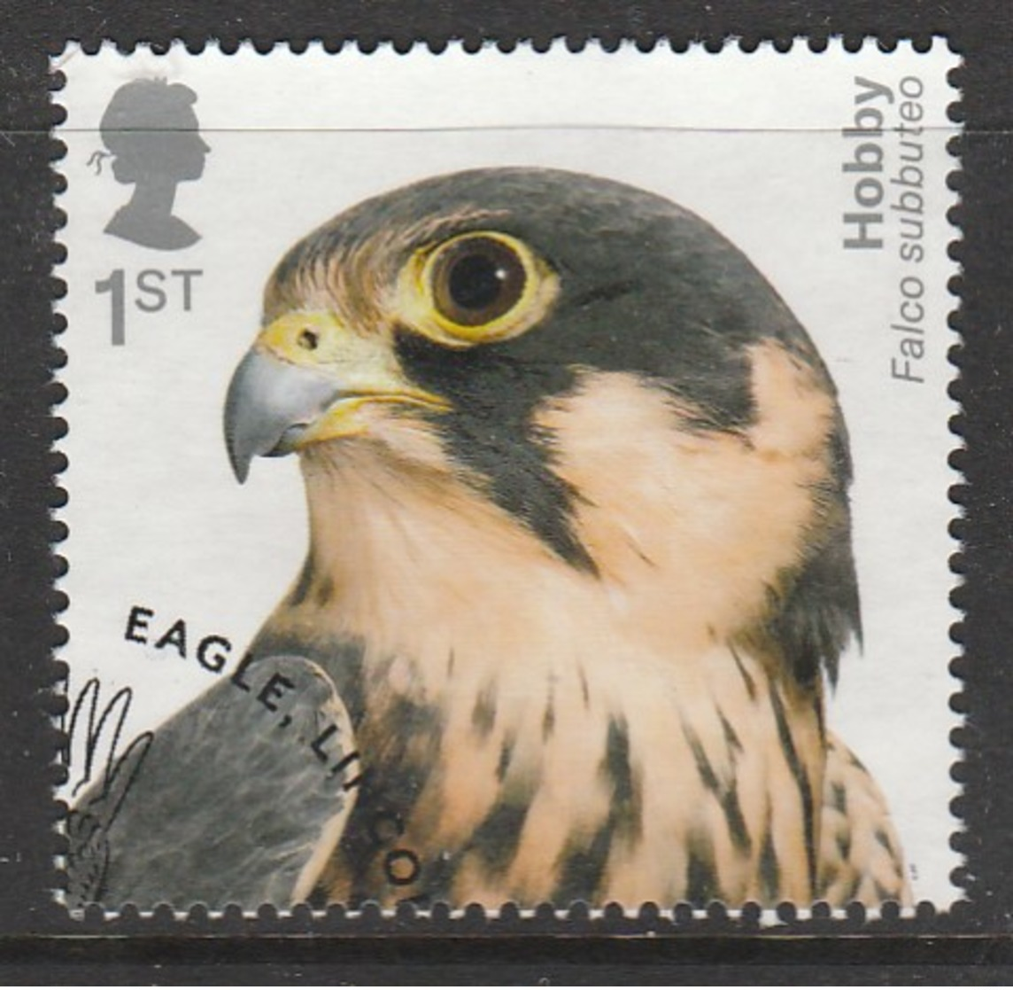 GB 2019 Birds Of Prey 1st Multicoloured SW 4046 O Used - Gebraucht