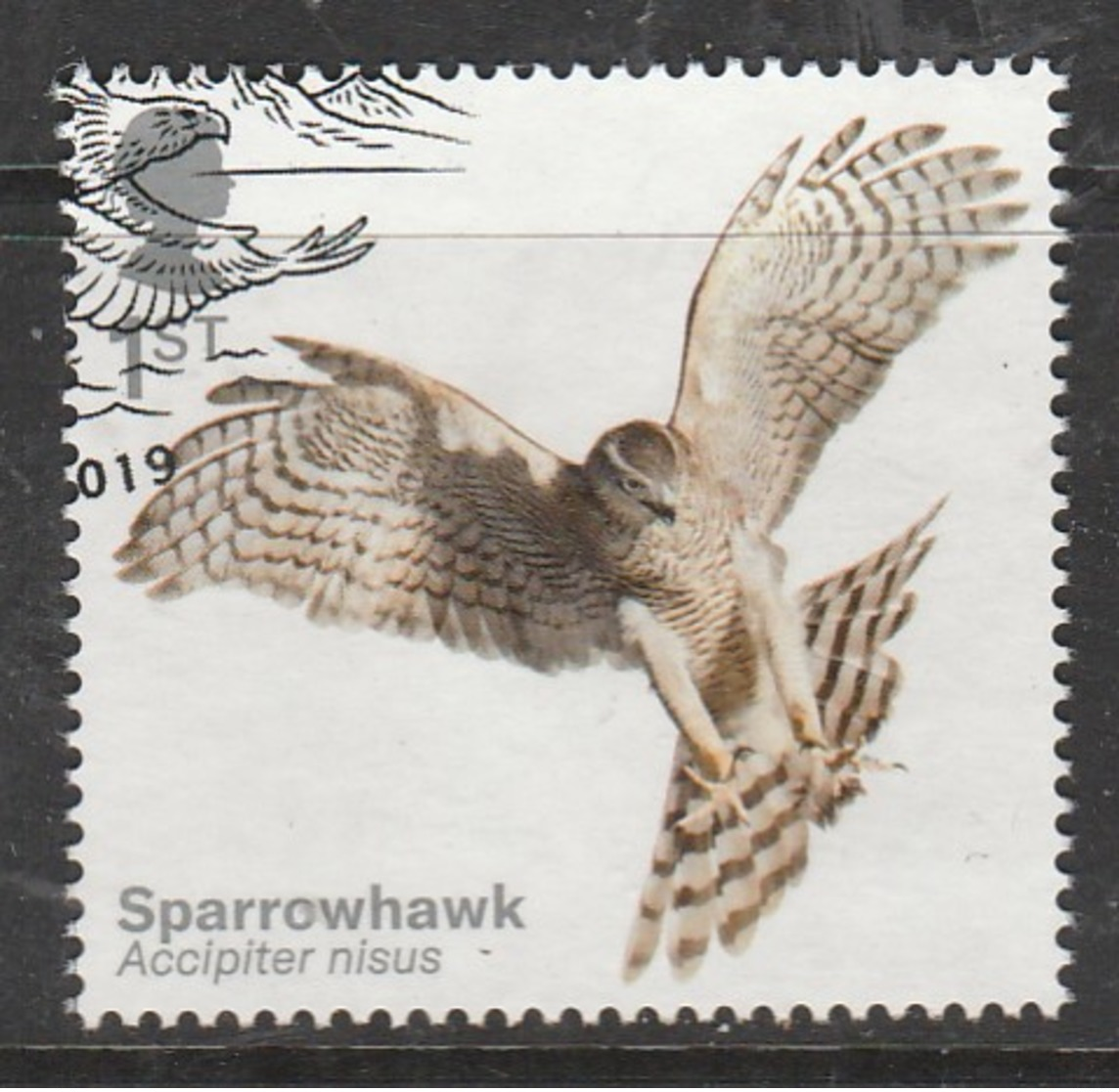 GB 2019 Birds Of Prey 1st Multicoloured SW 4051 O Used - Used Stamps