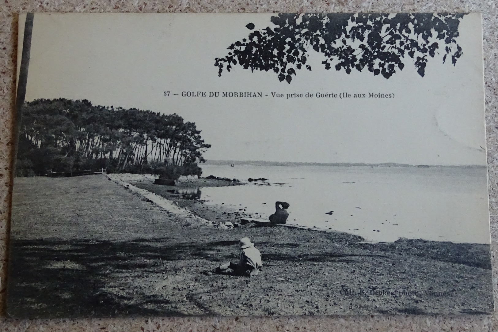 Cpa - (56) - Golfe Du Morbihan - Vue Prise De Guéric ( île Aux Moines ) - Autres & Non Classés