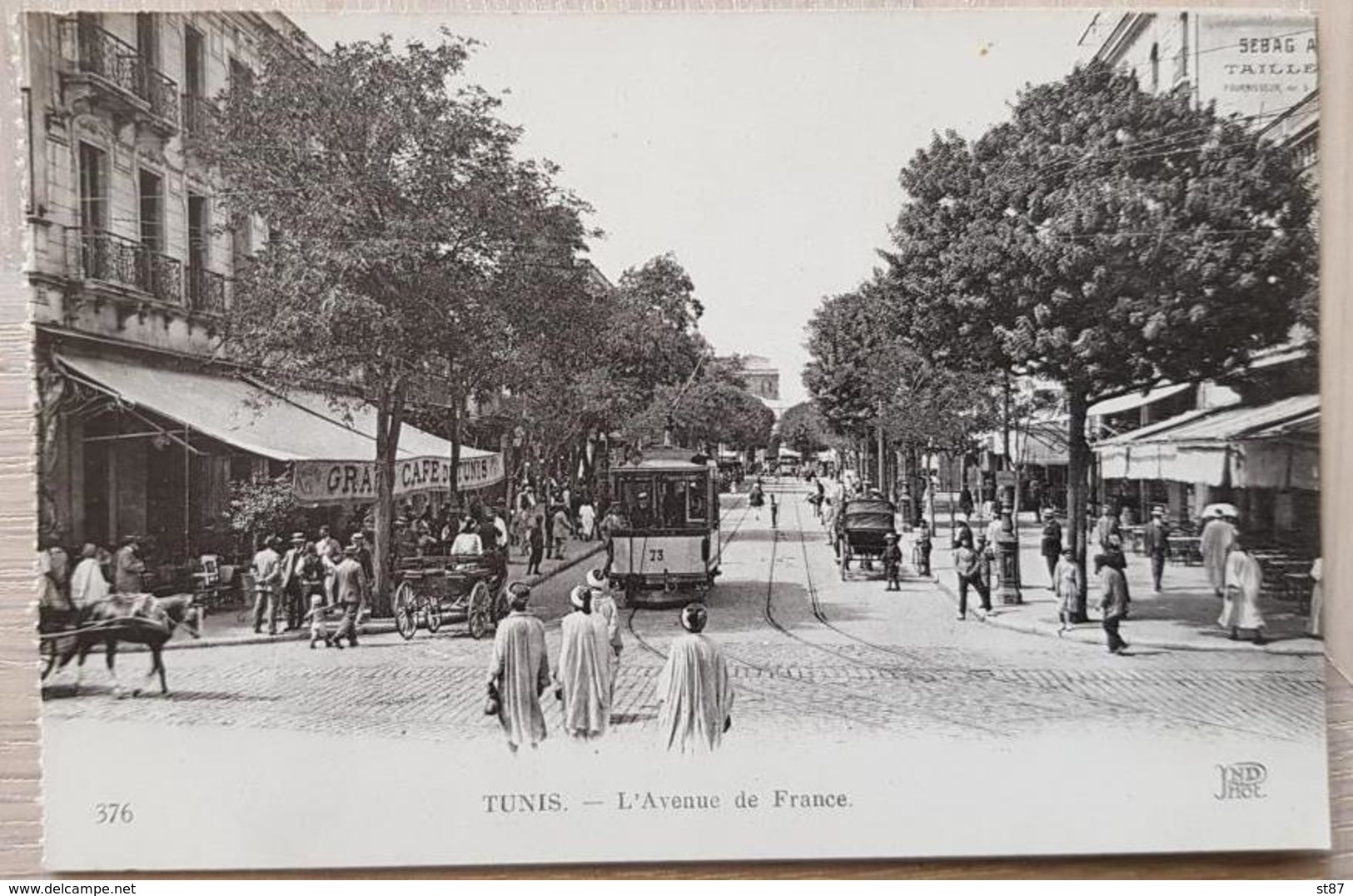 Tunis L'Avenue De France - Tunisia