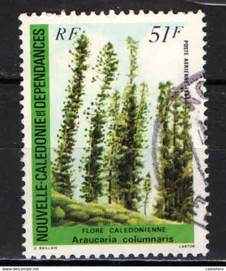 NUOVA CALEDONIA - 1984 - FLORA DELLA CALEDONIA: ARAUCARIA COLUMNARIS - USATO - Usati