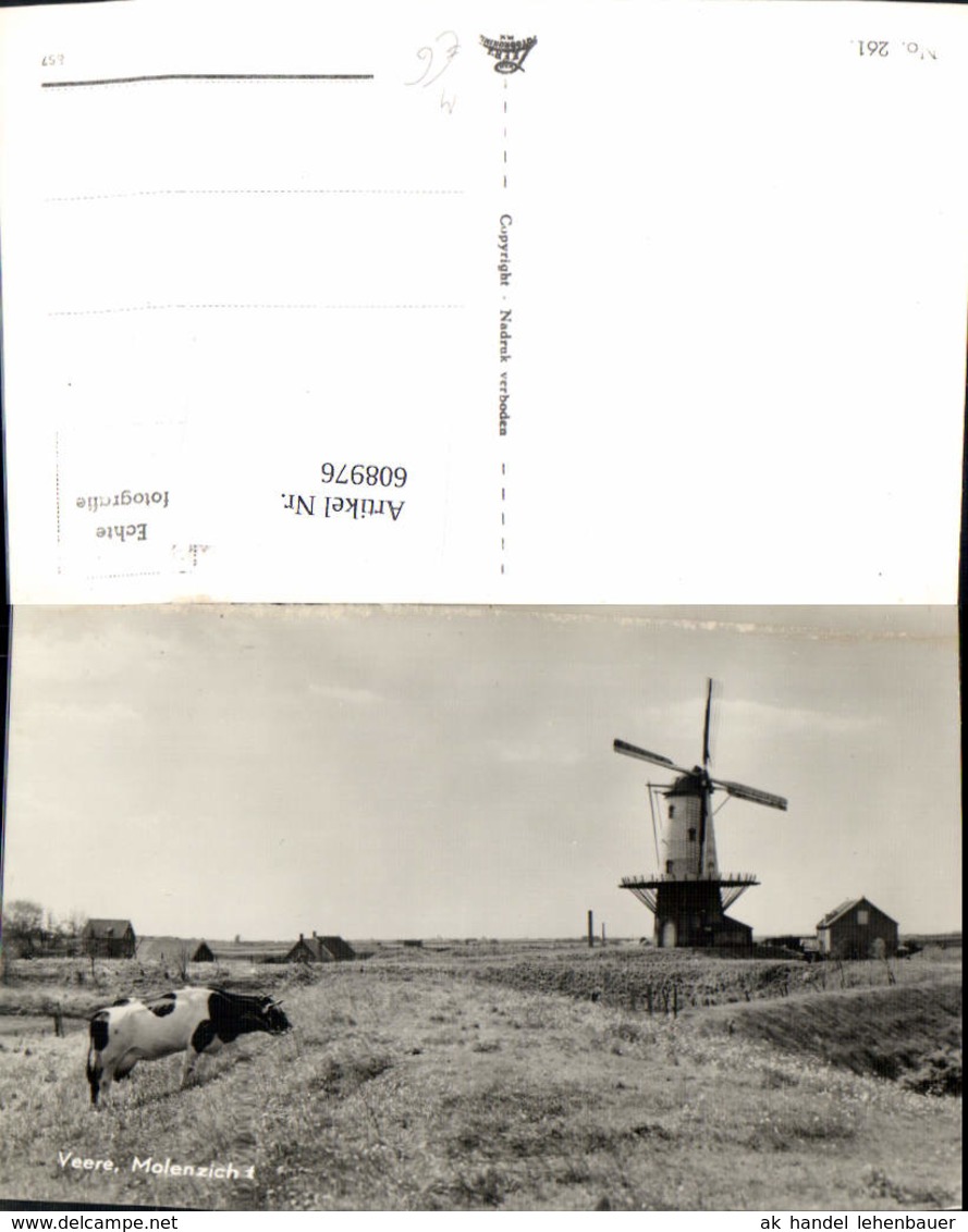 608976,Foto Ak Veere Molenzicht Windm&uuml;hle Kuh Rind Netherlands - Ohne Zuordnung