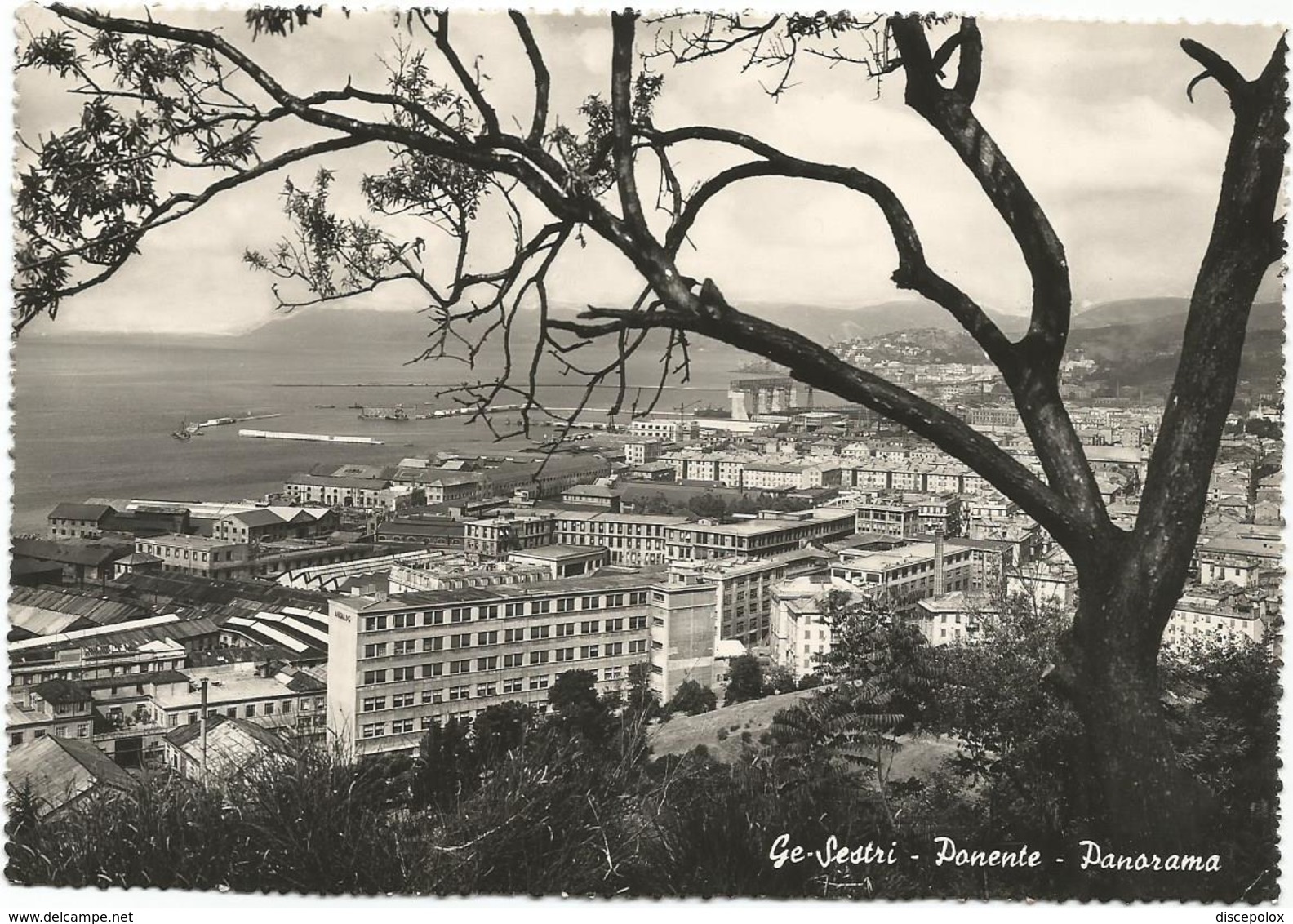 W2553 Genova Sestri - Panorama Da Ponente / Viaggiata 1954 - Genova