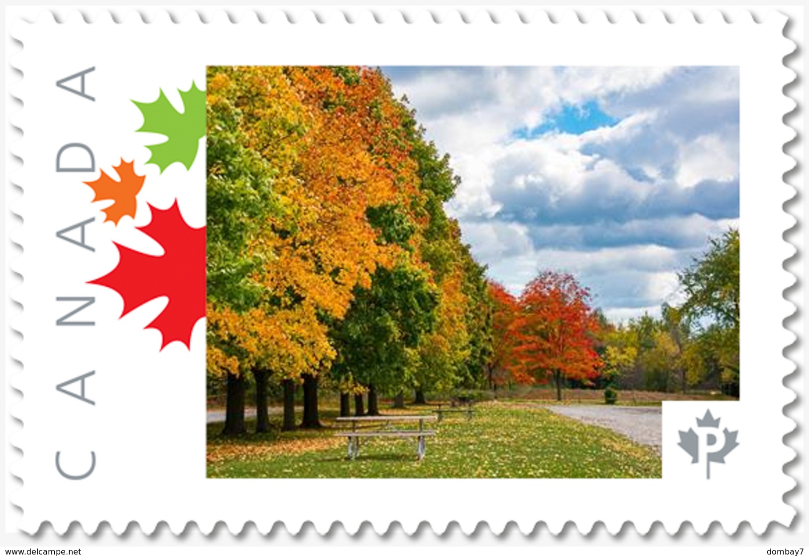 Lq. MOUNTSBERG PARK AUTUMN COLOURS = Picture Postage MNH-VF+ Canada 2019 [p19-04-02] - Photography