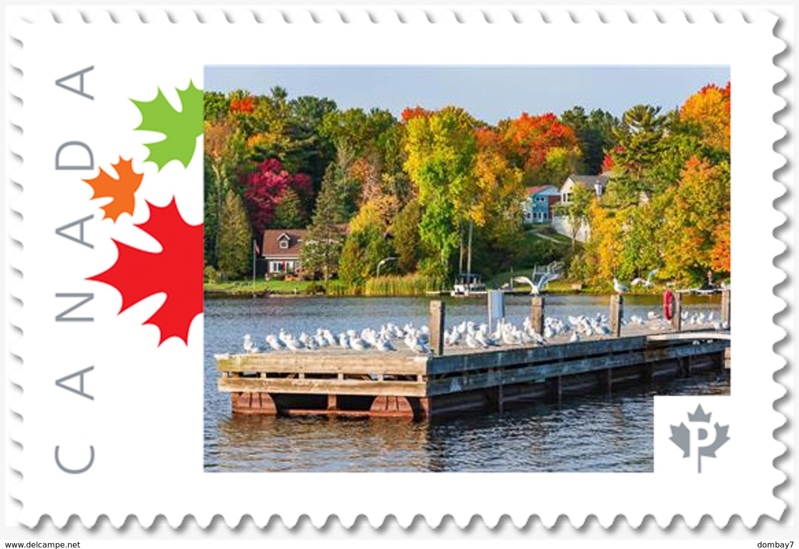 Lq. GRAVENHURST = SEAGULLS ON PIER = Picture Postage MNH-VF+ Canada 2019 [p19-04-03] - Photography