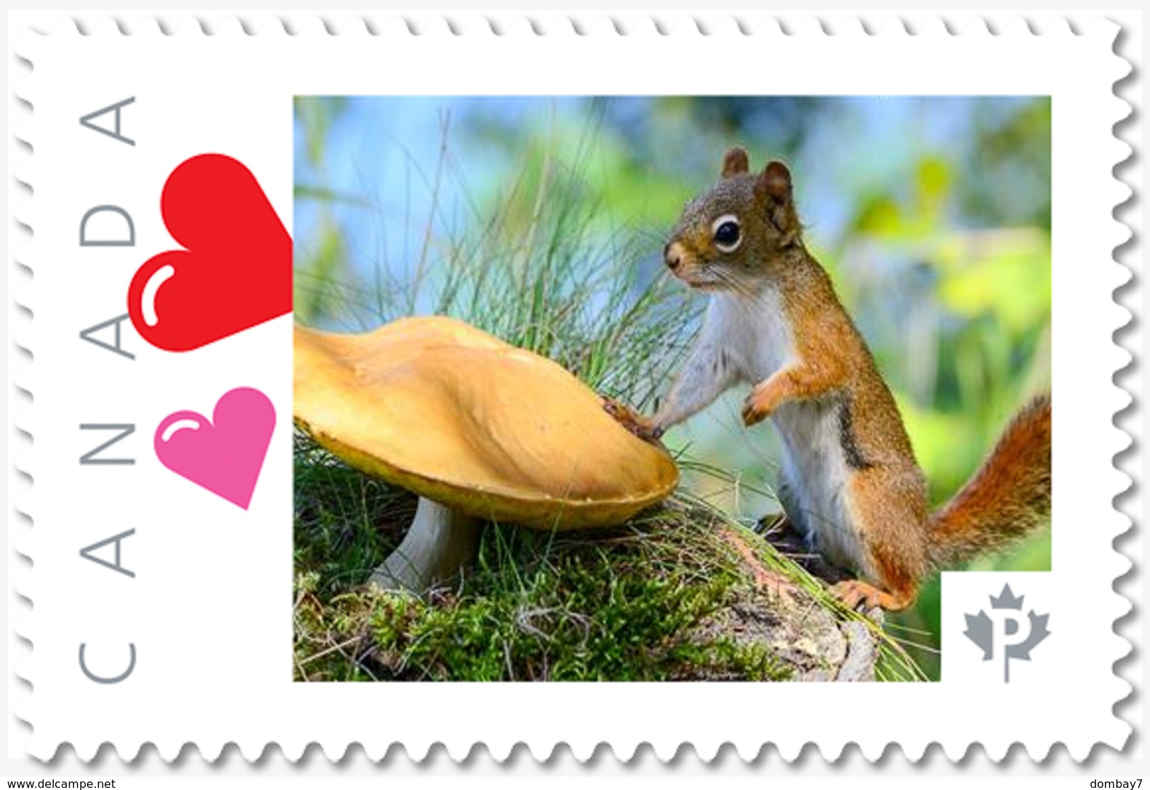 SQUIRREL And MUSHROOM = Picture Postage MNH-VF+ Canada 2019 [p19-04s10] - Mushrooms