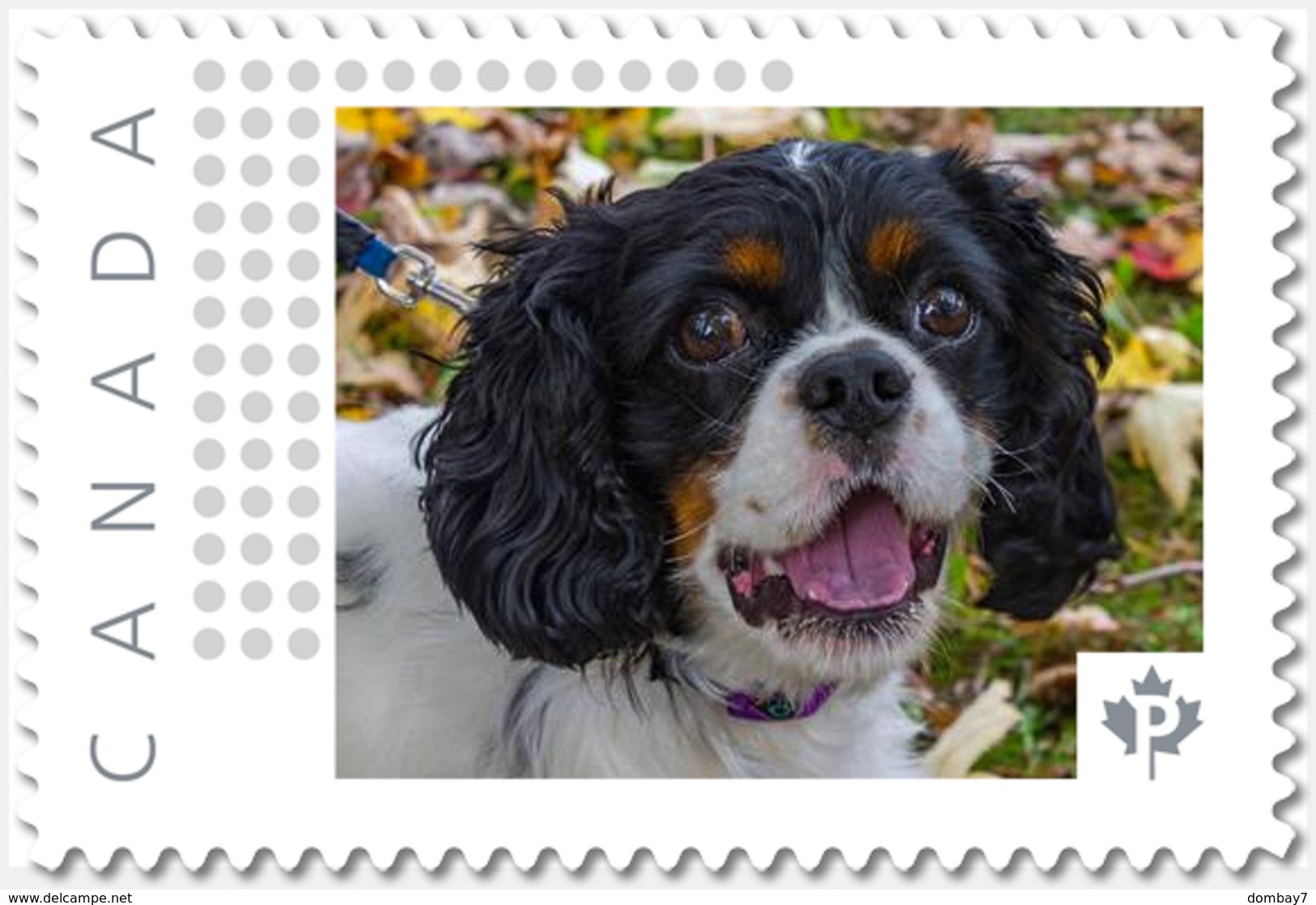 SPANIEL = DOG = Picture Postage Canada 2019 [p19-04s15] MNH-VF+ - Dogs