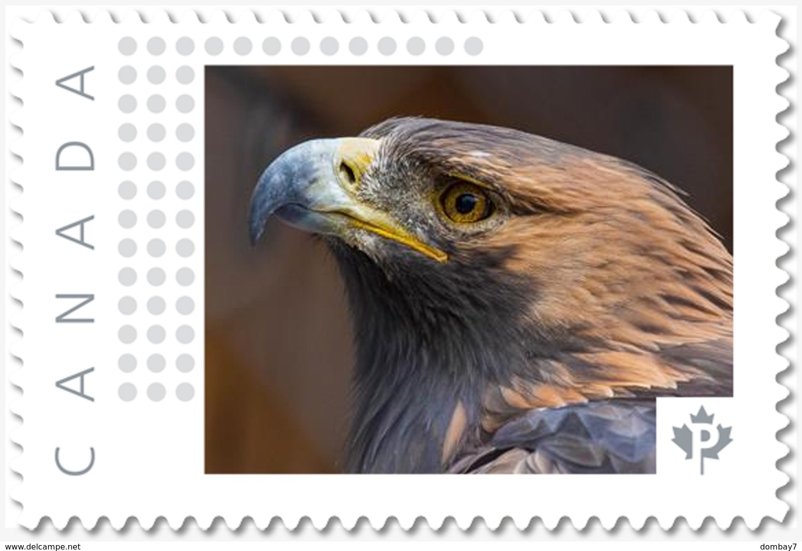 EAGLE = FALCON = BIRD OF PREY = Picture Postage Canada 2019 [p19-04s16] MNH-VF+ - Eagles & Birds Of Prey