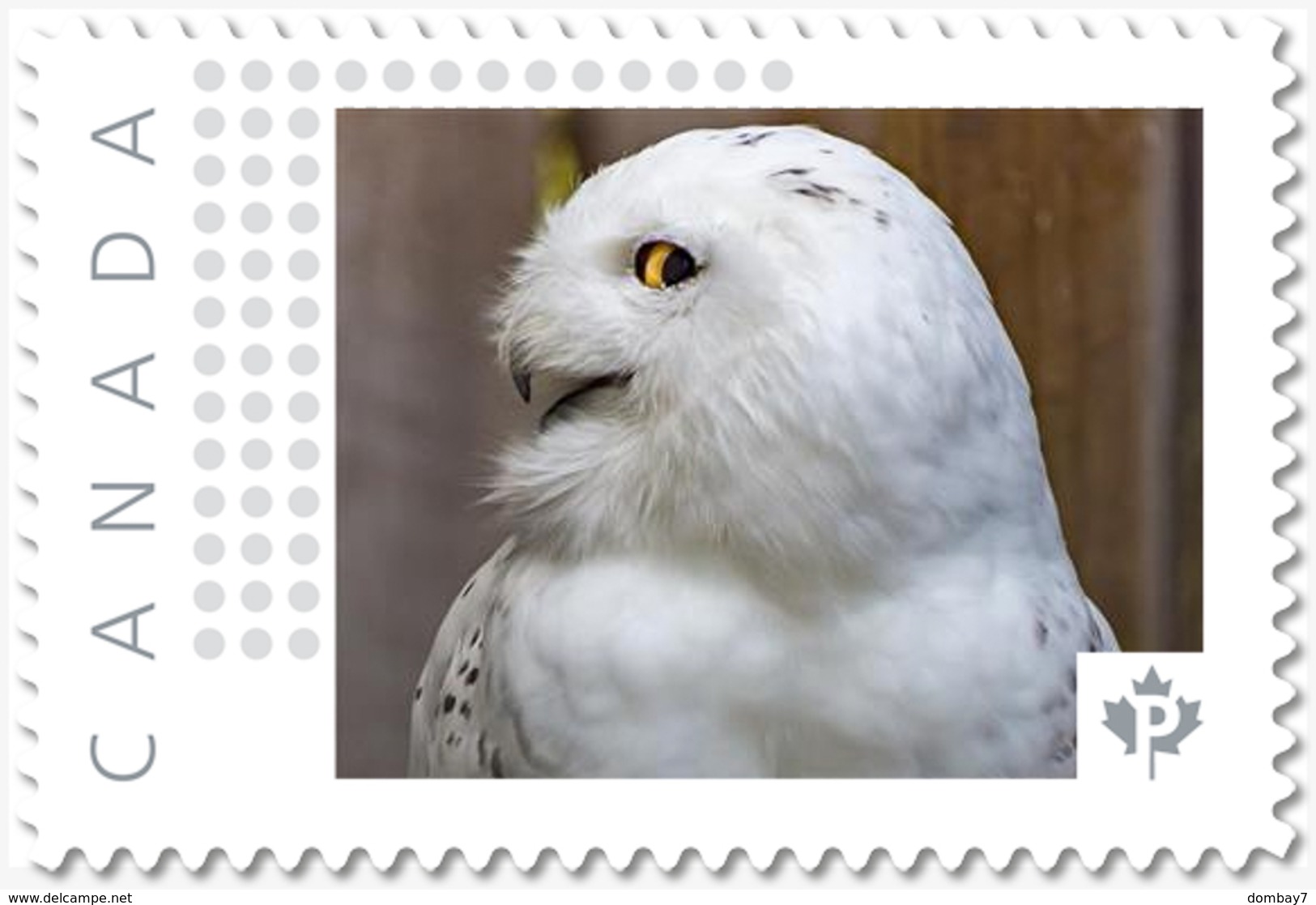 SNOWY OWL = BIRD OF PREY = Picture Postage Canada 2019 [p19-04s17] MNH-VF+ - Owls