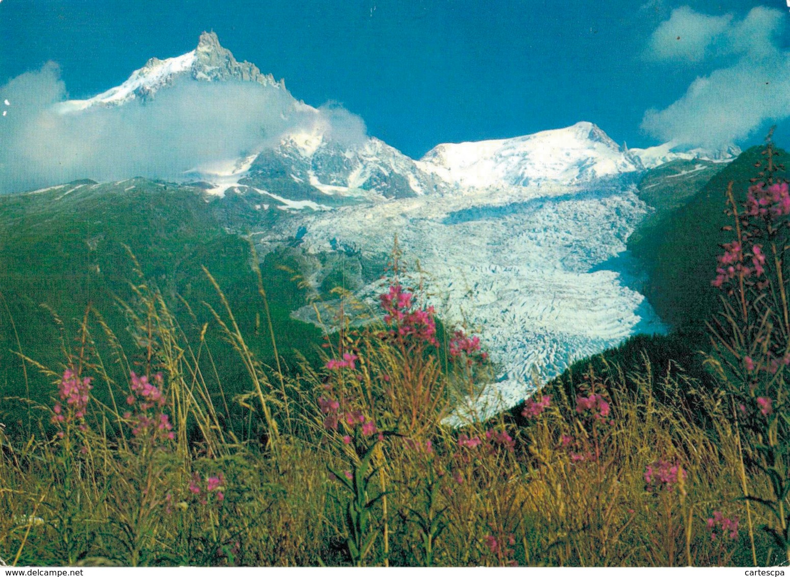 Massif Du Mont Blanc Glacier Des Bossons Et Aiguille Du Midi CPM Ou CPSM - Chamonix-Mont-Blanc