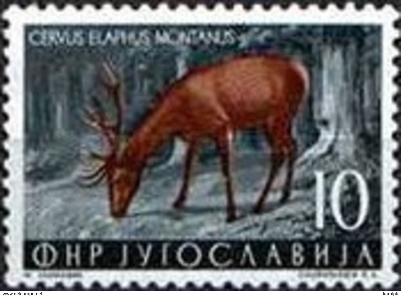 USED  STAMPS Yugoslavia - Local Fauna	 -  1954 - Used Stamps
