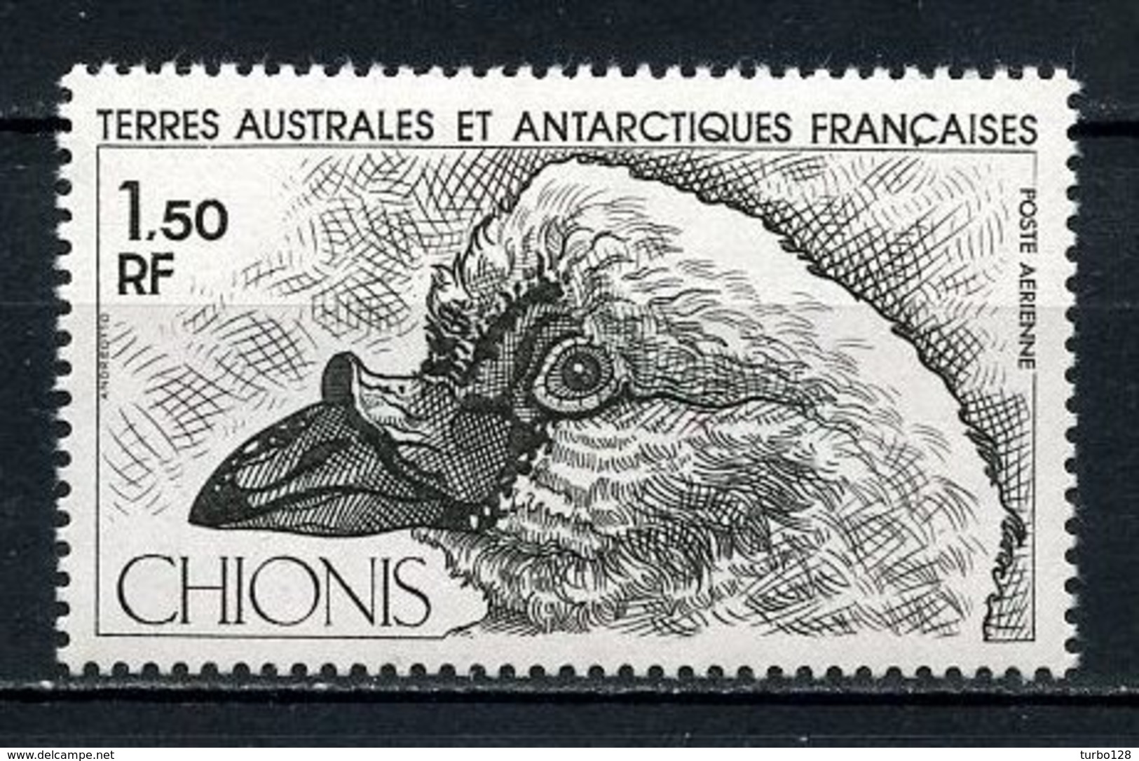 TAAF 1981 PA N° 67 ** Neuf MNH Superbe C 1 € Faune Oiseaux Chionis Birds Fauna Animaux - Luftpost