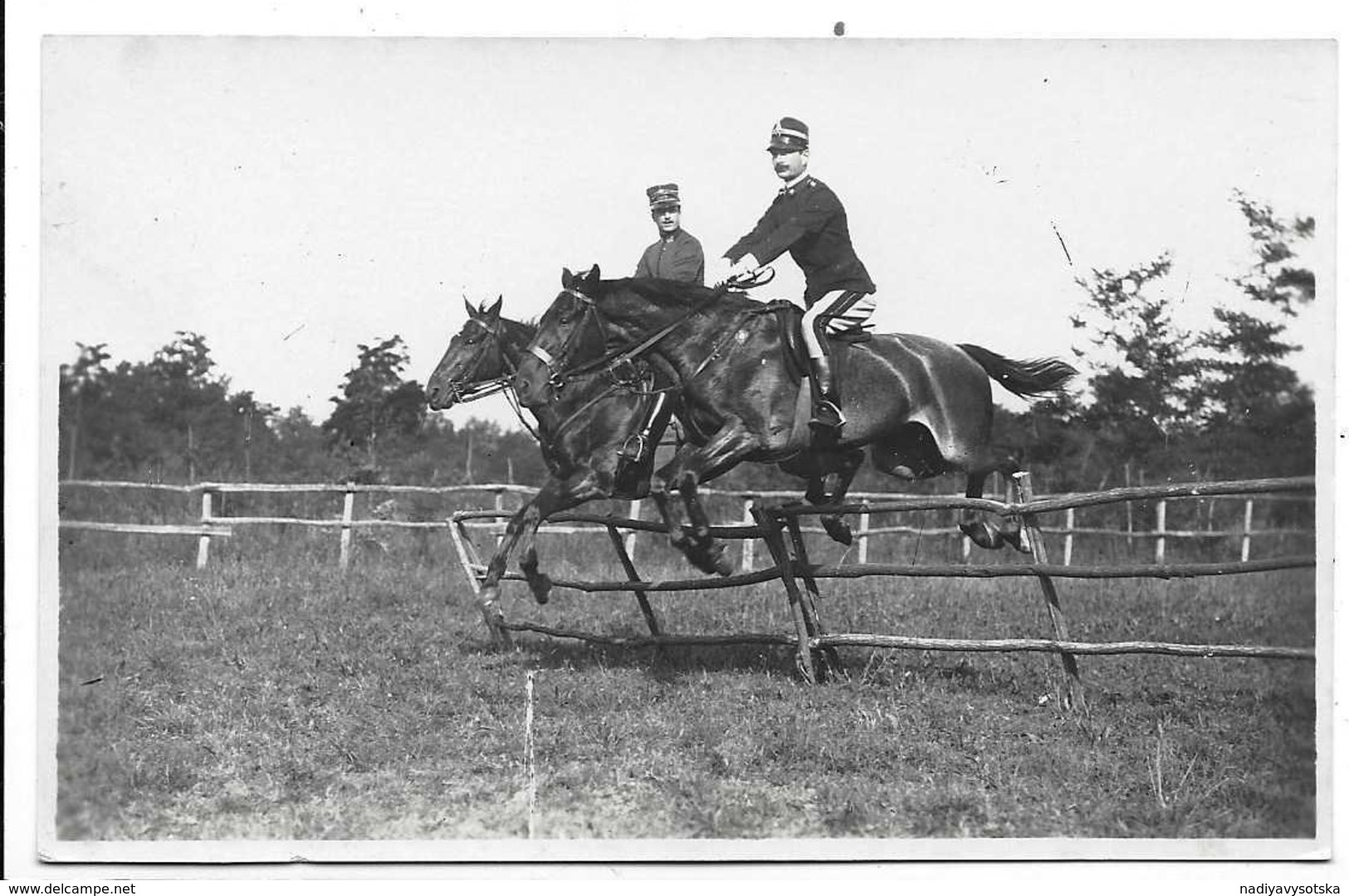 Pinerolo (Torino). Cavallo - Capitano Baldo Bacca - Scuola Di Cavalleria. - Cavalli