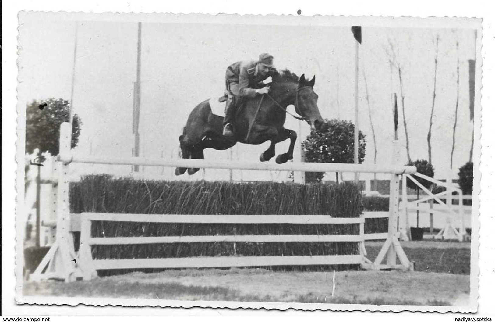 Pinerolo (Torino). Cavallo - Capitano Baldo Bacca - Scuola Di Cavalleria. - Cavalli