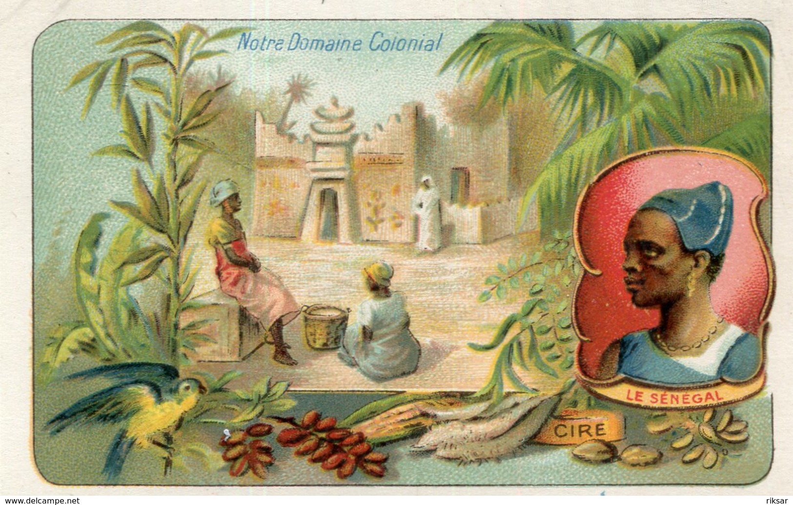 SENEGAL(CHROMO) - Sénégal