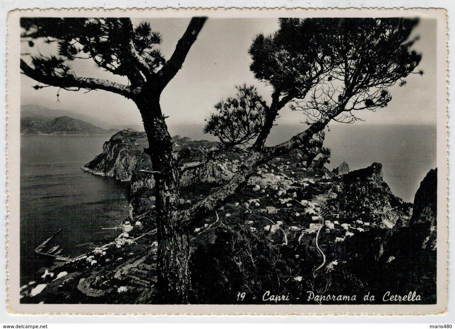 CAPRI    PANORAMA     DA  CETRELLA         (VIAGGIATA) - Altri & Non Classificati